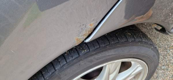 Volvo V70 Bolu - photo 6