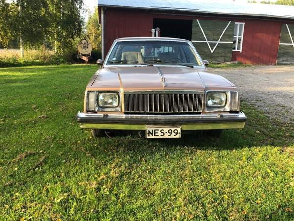 Buick Skylark Раума - изображение 3