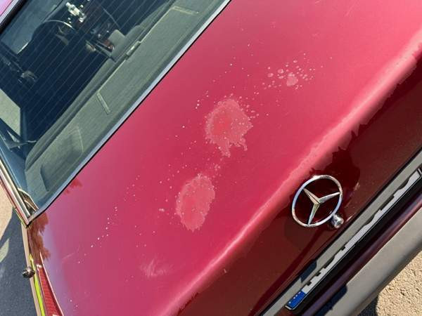 Mercedes-Benz 190 Вантаа - изображение 5