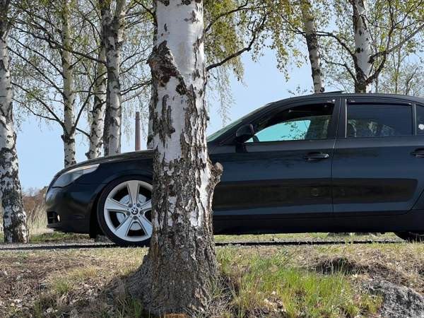 BMW 530 Tervajoki - valokuva 4