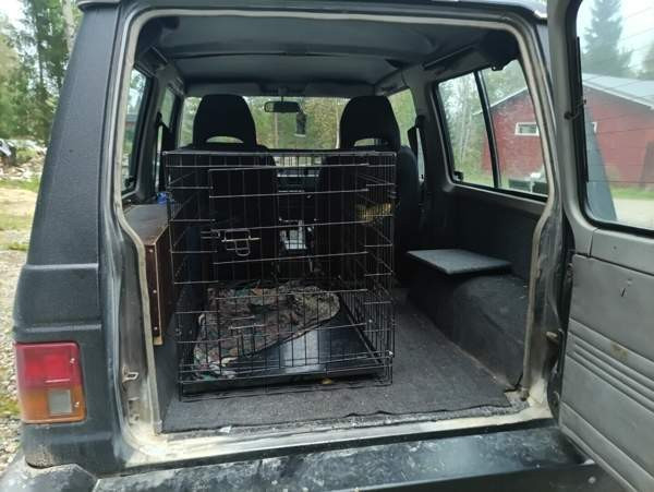 Mitsubishi Pajero Tervola - valokuva 3