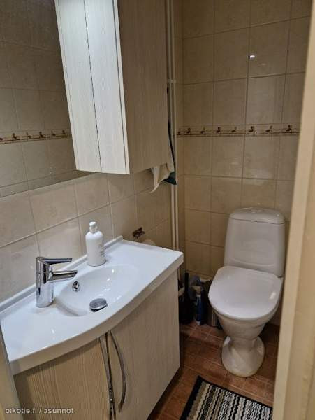 3h + k + kph +  WC + 2x vh + lasitettu parveke  Loimaa - photo 9