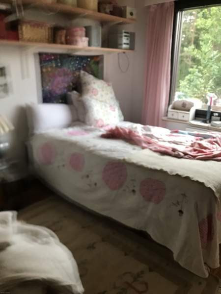 3h + s  Raasepori - valokuva 6