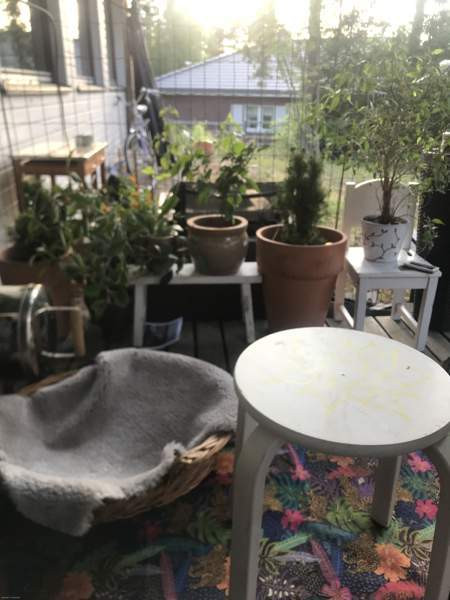 3h + s  Raasepori - valokuva 7