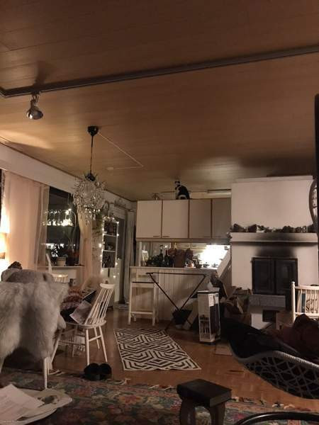 3h + s  Raasepori - valokuva 8