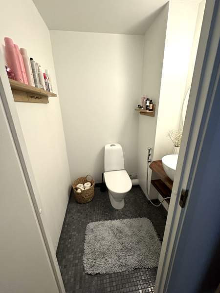 2h+s+p  Каарина - изображение 7