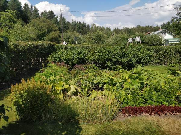 2h + s  Чукотский АО - изображение 5