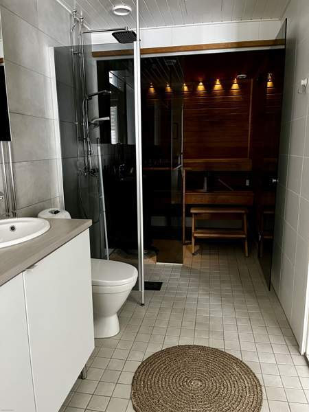 3h + s + p  Куопио - изображение 10