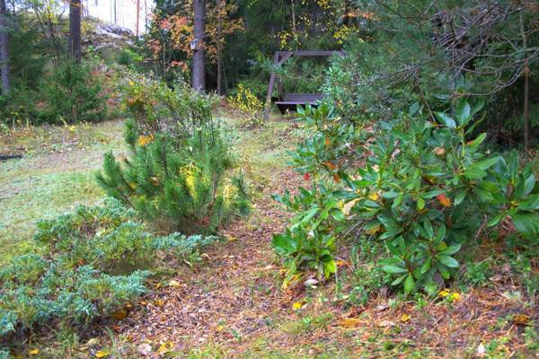 3h + k + s  Espoo - valokuva 6