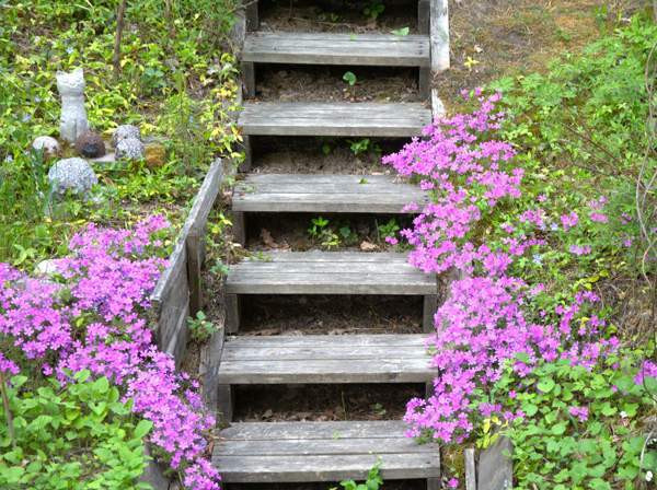 3h + k + s  Espoo - valokuva 5