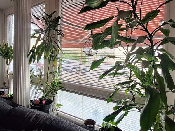 2h + kk + kph  Porvoo - photo 4