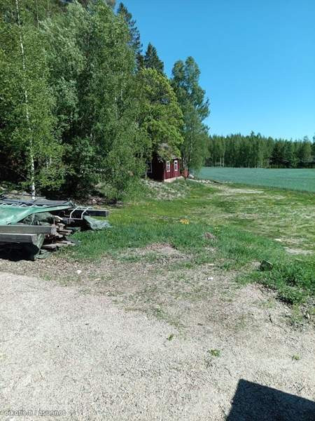 5h  Paimio – foto 10