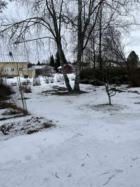 3h + s + p  Ylivieska - valokuva 7