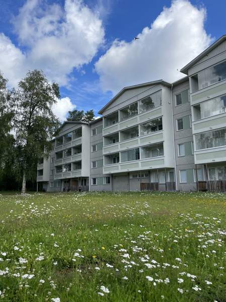 2h + p  Hämeenkyrö - valokuva 8