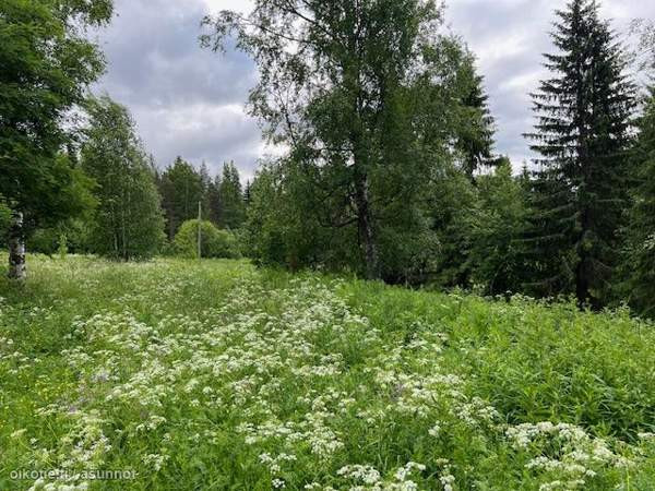 2h  Куопио - изображение 1