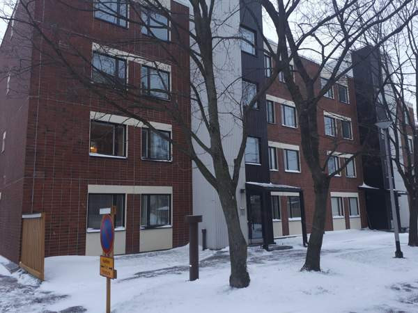 1h + s + p  Чукотский АО - изображение 1