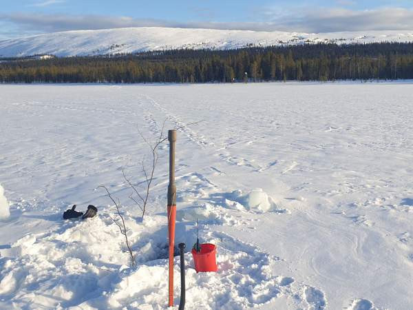 8h +k+ s + p  Kittilä - valokuva 4