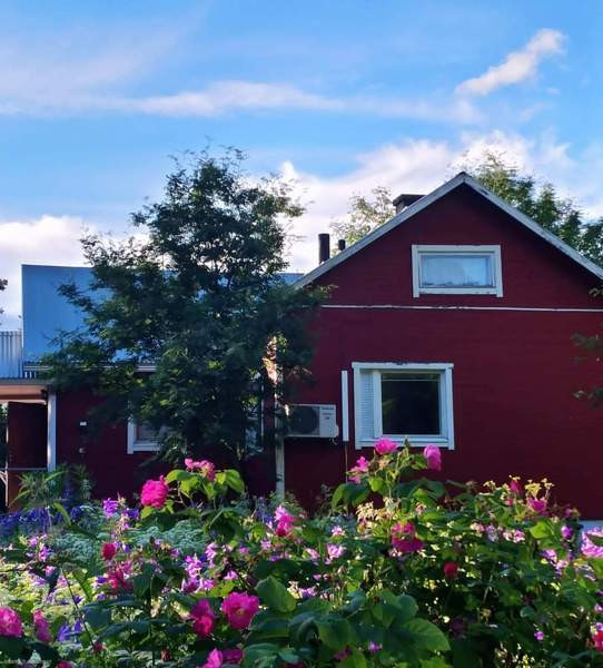 2h + keittiö + sauna  Iisalmi – foto 2