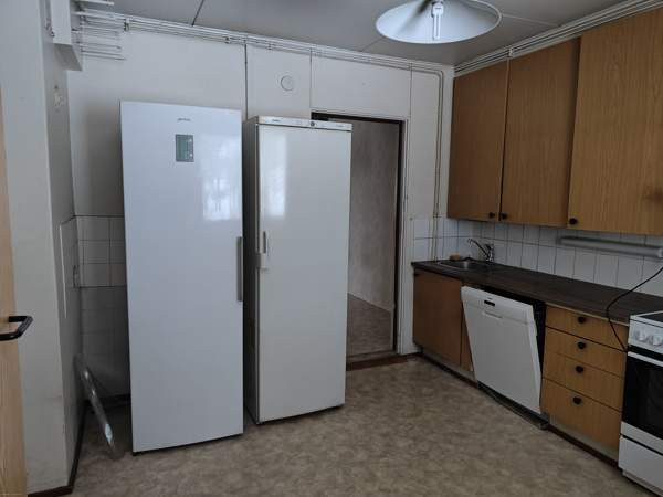 4h + k + s  Kemin – foto 9