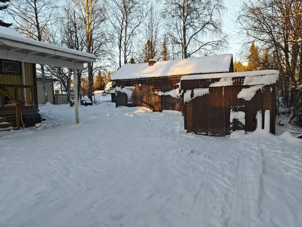 4h + k + s  Kemin – foto 3