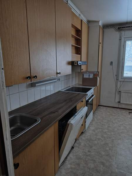 4h + k + s  Kemin – foto 8