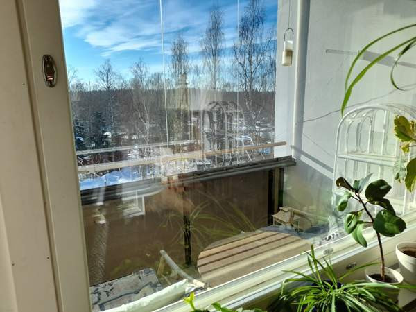 3h + k + p  Lappeenranta - photo 2