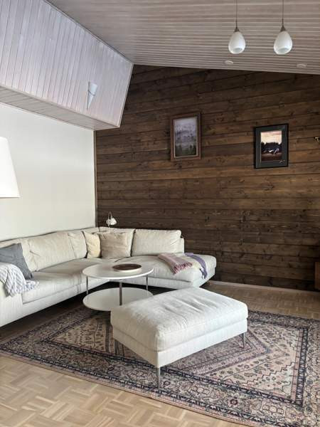 3h + k + khh/ph + s + wc  Puumala - valokuva 3