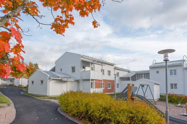 3h + k + p  Glebychevo – foto 10