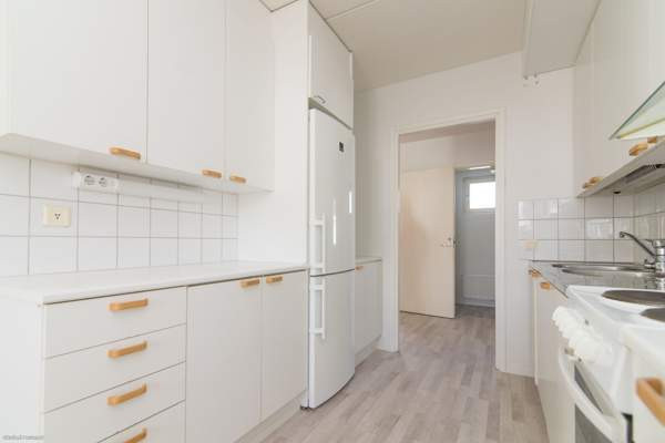 3h + k + p  Glebychevo – foto 2