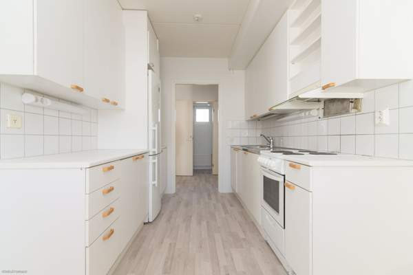 3h + k + p  Glebychevo – foto 3