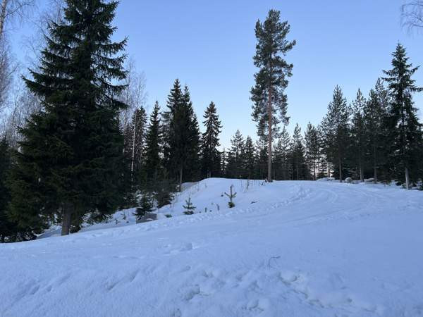 2  Virrat - valokuva 10