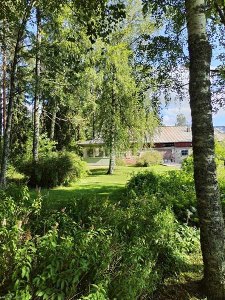 6h + 2k + 2wc + ph + s + pkh  Zaporiz'ka Oblast' – foto 5