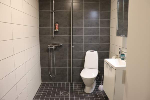 1h + p  Zaporiz'ka Oblast' - photo 3