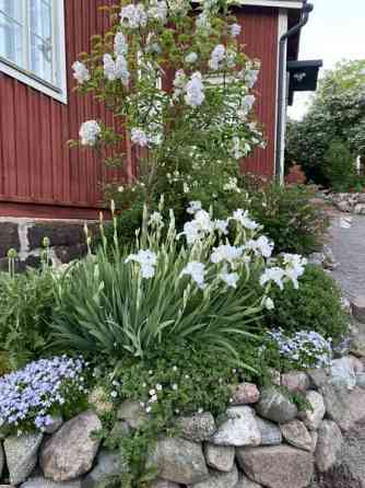 3h + avok  Porvoo