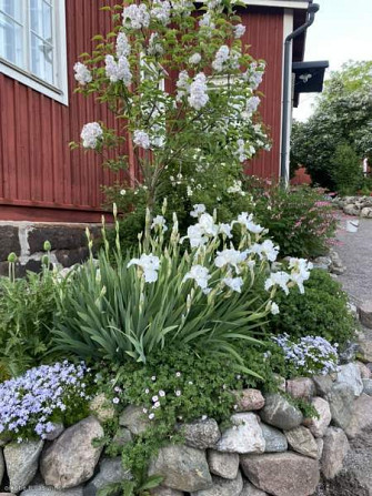3h + avok  Porvoo - photo 2