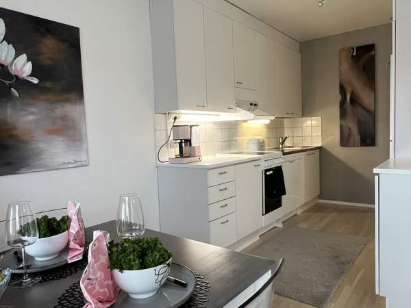 2h + k+s + iso varasto  Kaarina – foto 1