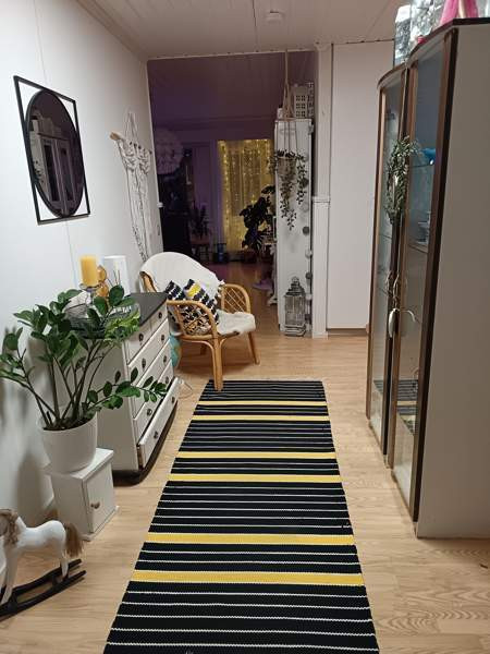 4h + k + s  Kuhmo - photo 5