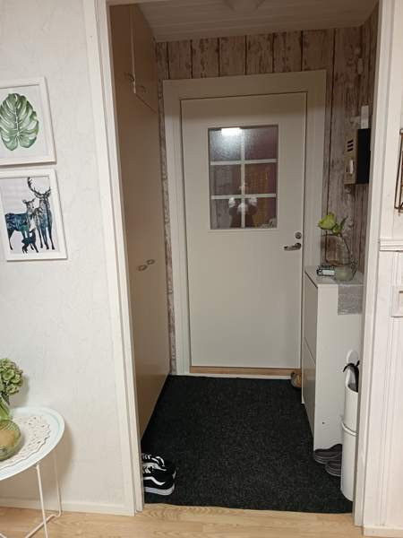 4h + k + s  Kuhmo - photo 8