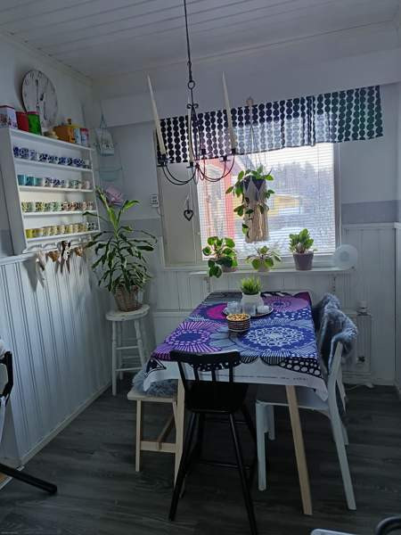 4h + k + s  Kuhmo - photo 7