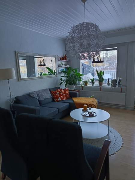 4h + k + s  Kuhmo - photo 1