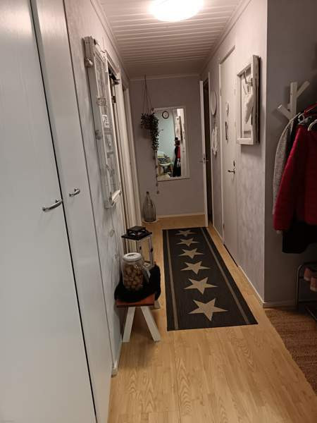 4h + k + s  Kuhmo - photo 4