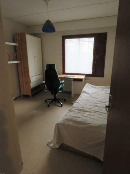 5h + k + s + p  Glebychevo - photo 7