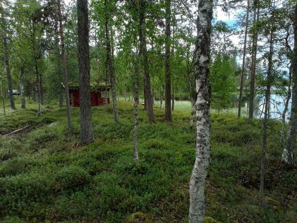 1h  Rovaniemi – foto 6