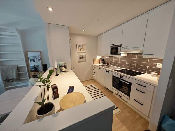 2h + avokeittiö + s + lasitettu parveke  Kaarina - photo 2