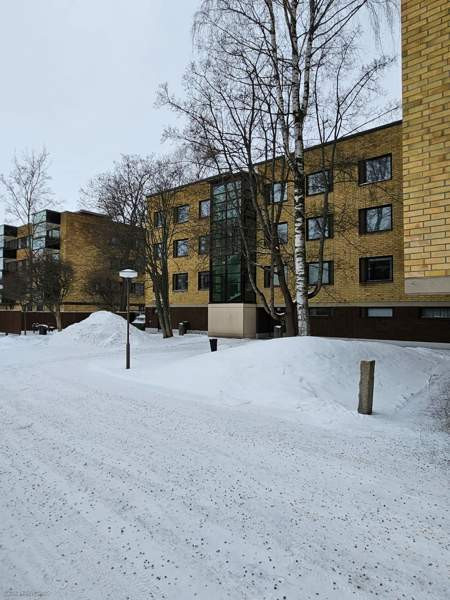 1h + s + p  Joensuu – foto 4