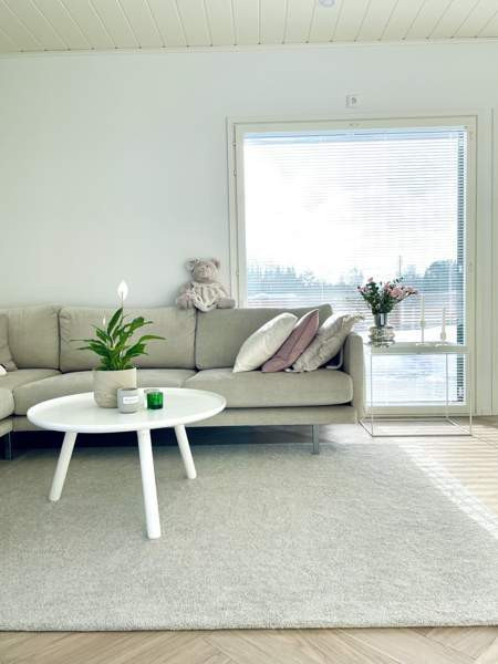 3h + s  Sibbo - изображение 5