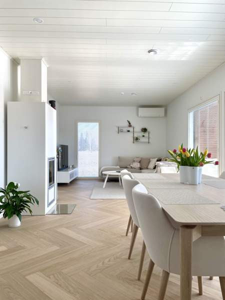 3h + s  Sibbo - изображение 1