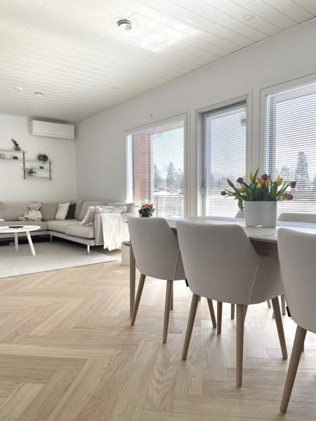 3h + s  Sibbo - изображение 4