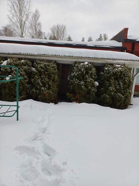 2h + k  Kauhava - valokuva 4