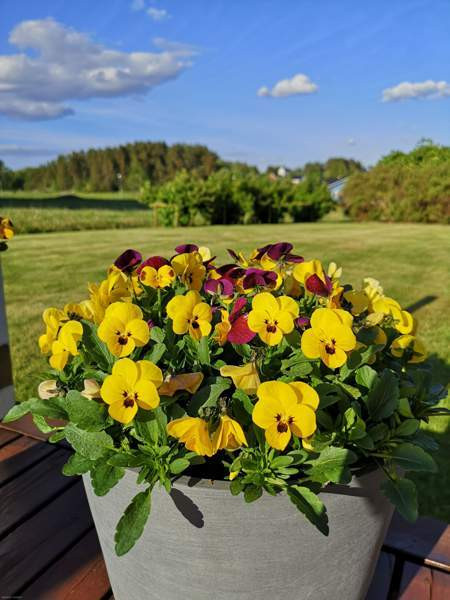 6mh +k+oh+aula+khh+ph+s+2xwc, erillinen autotalli+  Naantali - изображение 10